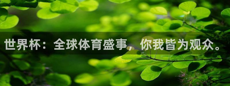 2026年世界杯直播平台：世界杯：全球体育盛事，你我皆为观众。