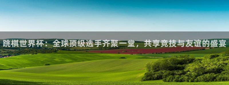 足球杯：跳棋世界杯：全球顶级选手齐聚一堂，共享竞技与友谊的盛宴