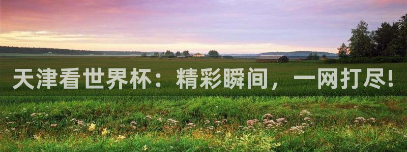 世界杯预选赛亚洲：天津看世界杯：精彩瞬间，一网打尽!