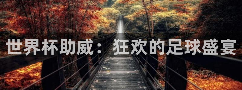 世界杯直播网站：世界杯助威：狂欢的足球盛宴