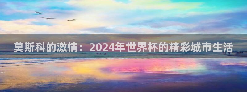 2006年世界杯冠军：莫斯科的激情：2024年世界杯的精彩城市生活