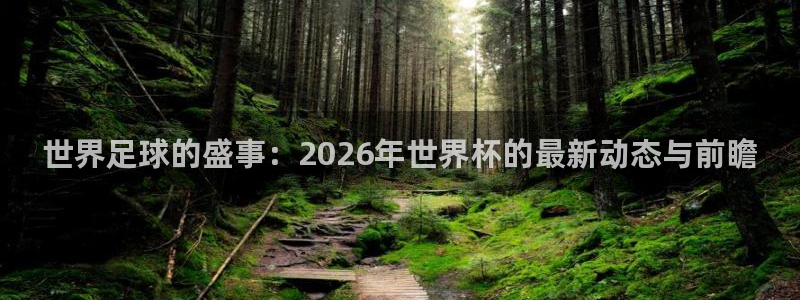 2026年足球世界杯赛程时间表：世界足球的盛事：2026年世界杯的最新动态与前瞻