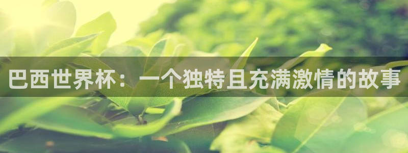 世界杯预选赛欧洲赛区积分榜：巴西世界杯：一个独特且充满激情的故事