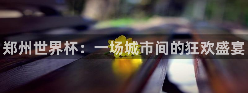 世界杯赛程表：郑州世界杯：一场城市间的狂欢盛宴