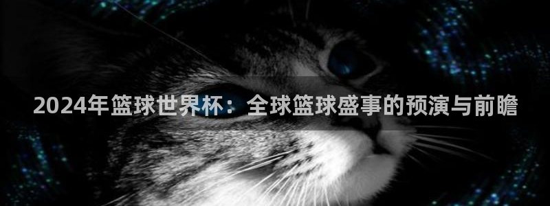 世界杯直播观看：2024年篮球世界杯：全球篮球盛事的预演与前瞻
