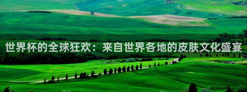 法国杯2026赛程表：世界杯的全球狂欢：来自世界各地的皮肤文化盛宴