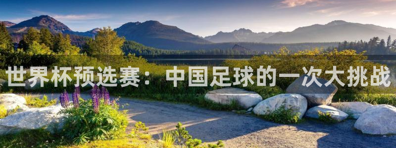 世界杯决赛预测：世界杯预选赛：中国足球的一次大挑战