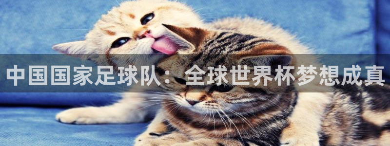 世界杯葡萄牙赛程：中国国家足球队：全球世界杯梦想成真