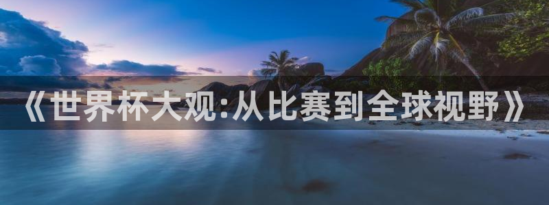 2026世界杯赛程：《世界杯大观:从比赛到全球视野》