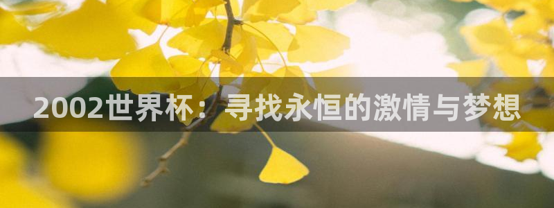 世界杯直播时间：2002世界杯：寻找永恒的激情与梦想