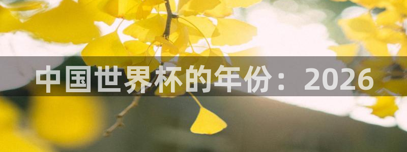 世界杯2026赛程时间表格：中国世界杯的年份：2026